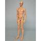 1/4 Bjd Doll Boy Man Resin Naked Unpainted Body + Free Eyes + Face Make Up