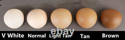 1/4 BJD Doll SD Girl Brown Skin Free Face Make UP Eyes Resin Toy Women Girl Gift