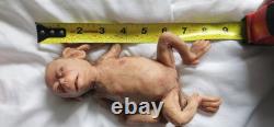 8 Inch Silicone Open Mouth Monkey