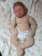 Authentic Hand Painted Reborn Cuddle Baby Erin Secrist
