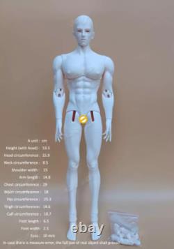 BJD Doll 1/4 Boy Eyes + Face Up Resin Toys Gift 53.5 cm Muscle Body Cheny