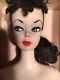 Beautiful Brunette #1 Barbie Doll Withbox Original Stand + Extras
