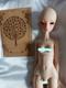 Doll Leaves Pearl 1/4 Bjd Msd Limited Edition Tan Skin Legitamate With Coa