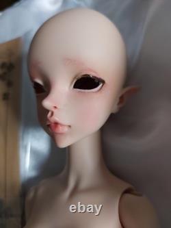 Doll Leaves Pearl 1/4 BJD MSD Limited Edition Tan Skin Legitamate with CoA