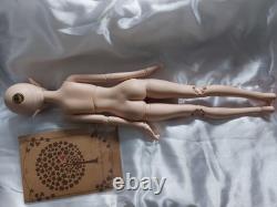 Doll Leaves Pearl 1/4 BJD MSD Limited Edition Tan Skin Legitamate with CoA