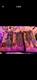 Hasbro Destiny's Child 2001 Barbie Beyonce Kelly Michelle Rare Mexico Imports
