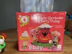 Huge Vintage Strawberry Shortcake Lot Figures House And More