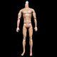 Male Body Ken Yoga Muscle Bodies Ersion Coffee Joints Movable Body For 1/6 Fr/it