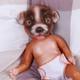 New 13.7'' Full Silicone Reborn Dog Doll Cuddly Newborn Soft Cute Animals Toy