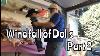 Part 2 Of The Windfall Of Dolls So Many Vintage Dolls