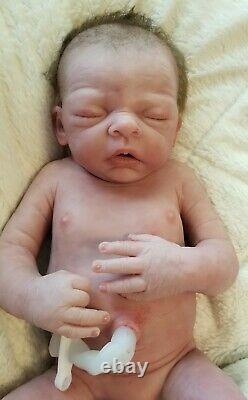 Realistic silicone Newborn Rose by Evelina Wosnjuk Excellent Condition