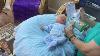 Silicone Babies Ruben Elfin And Reborn Baby Florence Triang Vintage Dolls Pram Holiday Tag