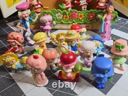 VINTAGE 1981 STRAWBERRY SHORTCAKE BERRY PATCH CARRY CASE & 26 Figures GUC