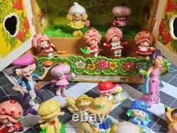VINTAGE 1981 STRAWBERRY SHORTCAKE BERRY PATCH CARRY CASE & 26 Figures GUC