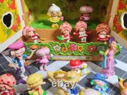 VINTAGE 1981 STRAWBERRY SHORTCAKE BERRY PATCH CARRY CASE & 26 Figures GUC