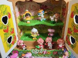 VINTAGE 1981 STRAWBERRY SHORTCAKE BERRY PATCH CARRY CASE & 26 Figures GUC