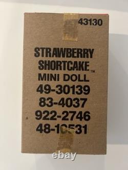 Vintage Kenner 1980 Strawberry Shortcake Doll 43130 Factory Sealed in Sleeve