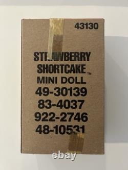 Vintage Kenner 1980 Strawberry Shortcake Doll 43130 Factory Sealed in Sleeve