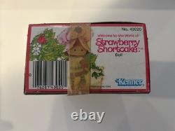 Vintage Kenner 1980 Strawberry Shortcake Doll 43130 Factory Sealed in Sleeve