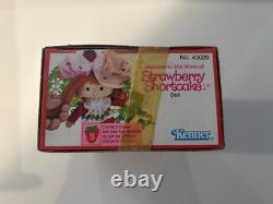 Vintage Kenner 1980 Strawberry Shortcake Doll 43130 Factory Sealed in Sleeve