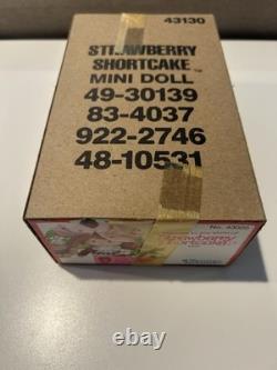 Vintage Kenner 1980 Strawberry Shortcake Doll 43130 Factory Sealed in Sleeve