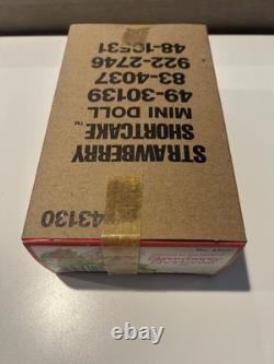 Vintage Kenner 1980 Strawberry Shortcake Doll 43130 Factory Sealed in Sleeve