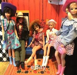 Vintage Twiggy/Francie/ PJ / Barbie/Ken /dolls/case /Wardrobe