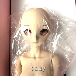 Volks DD Sakura Miku Ver. 2.0 Hatsune Dollfie Dream PVC & ABS Doll Vocaloid