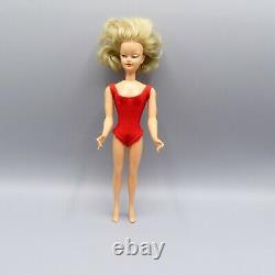 Willy Wildebras Schwabinchen Barbie type European Exclusive doll